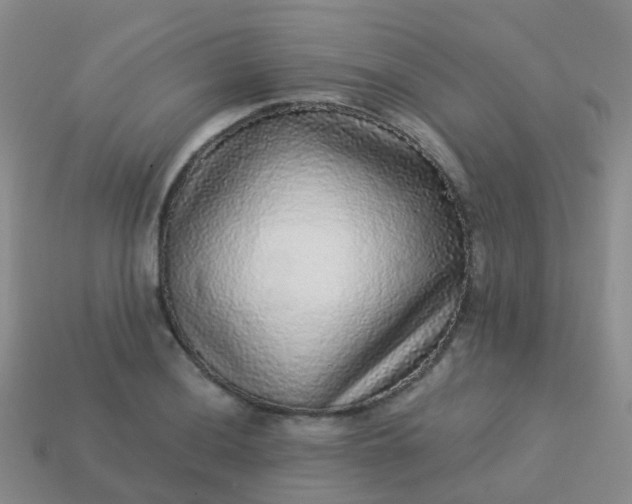 X0000113881036200910081742