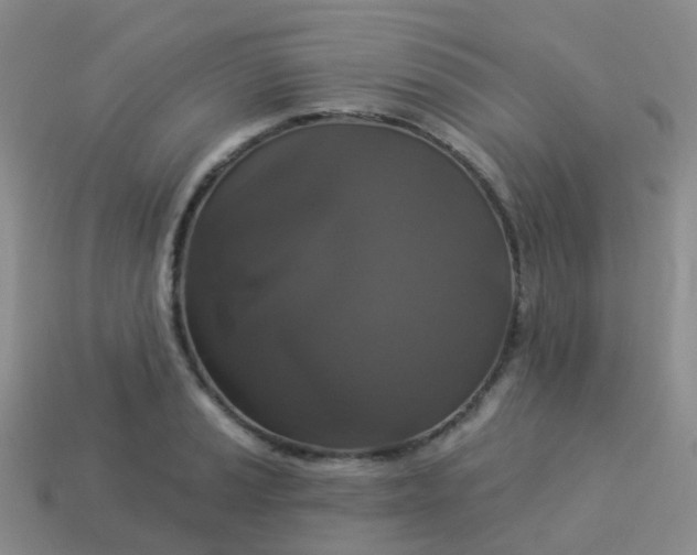 X0000113881037200910081742