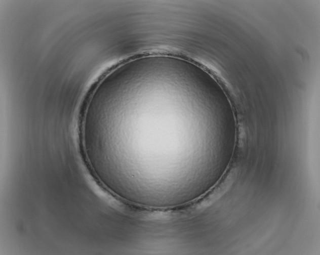 X0000113881038200910081742