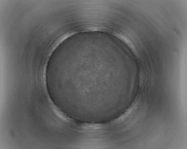 X0000113881039200910081742