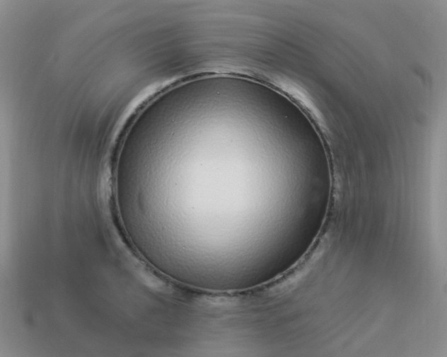 X0000113881040200910081742