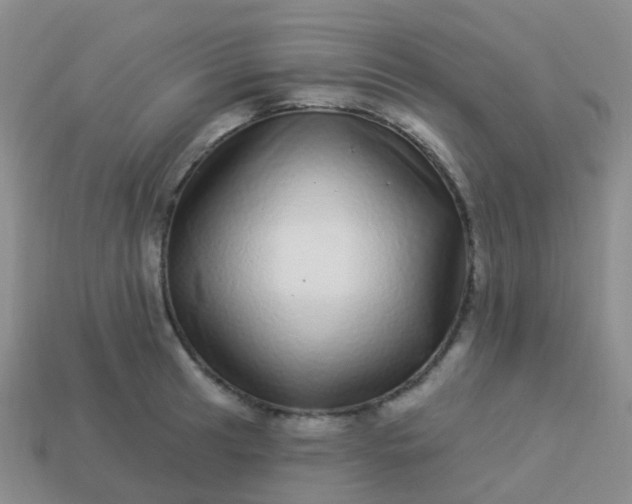 X0000113881041200910081742