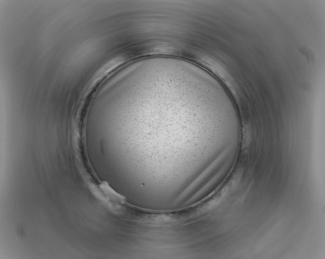 X0000113881042200910081742