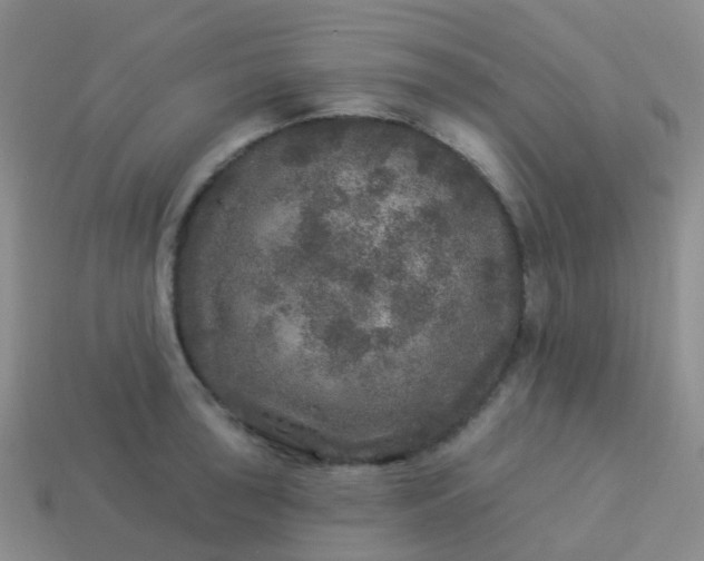 X0000113881043200910081742