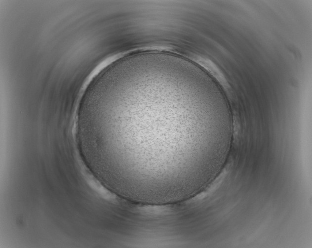 X0000113881044200910081742