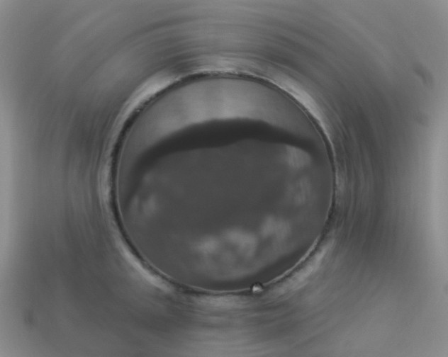 X0000113881045200910081742