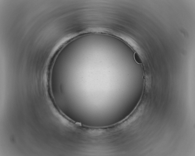 X0000113881046200910081742