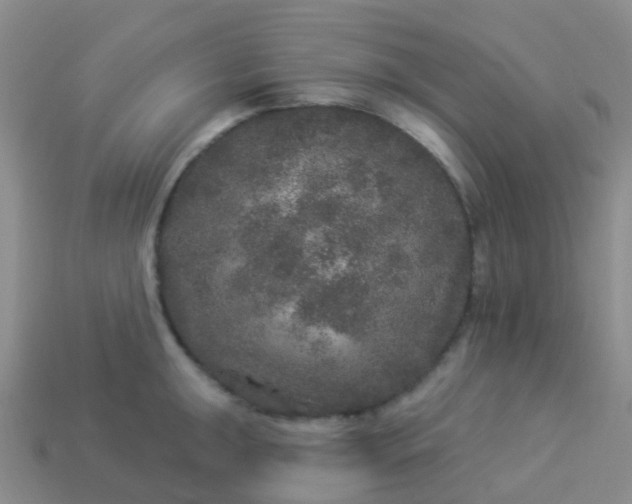 X0000113881047200910081743