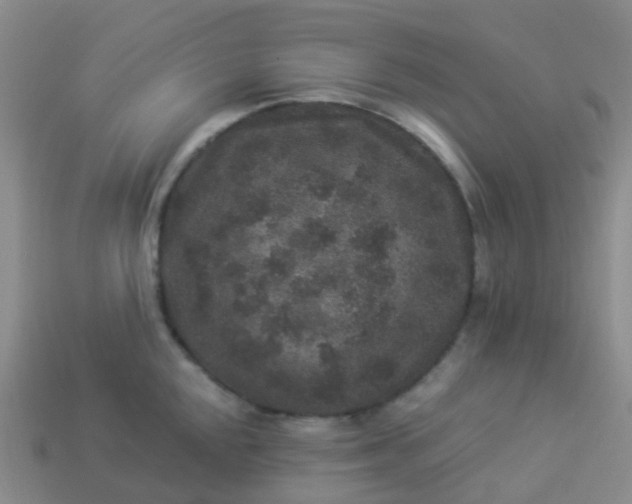 X0000113881048200910081743