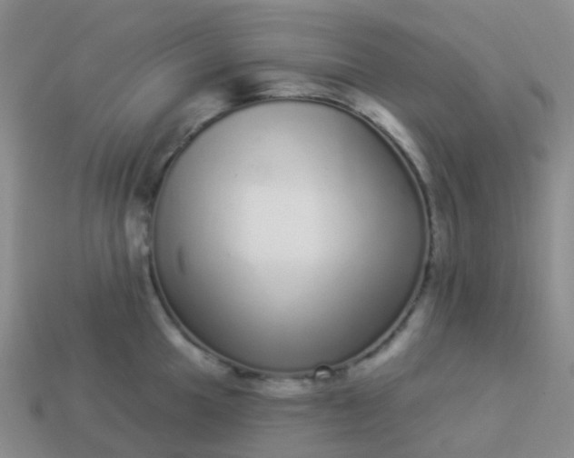 X0000113881049200910081743