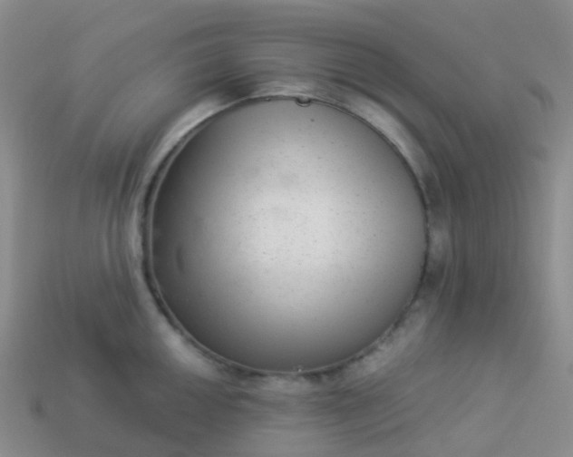 X0000113881050200910081743