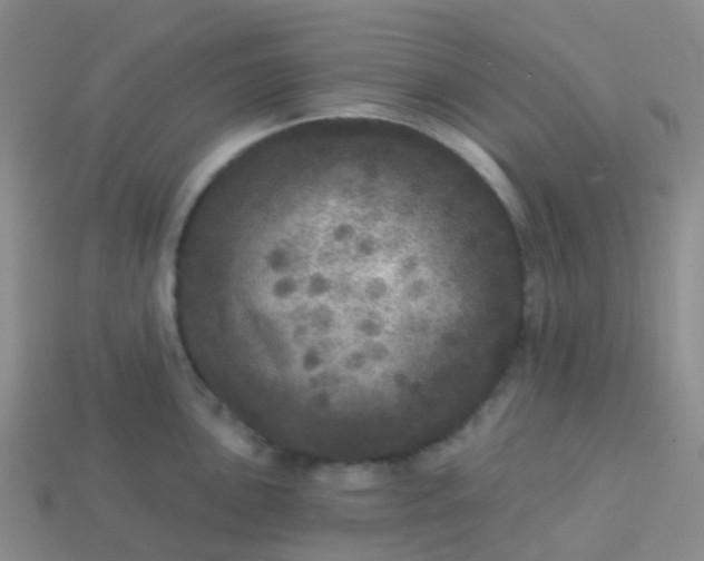 X0000113881051200910081743