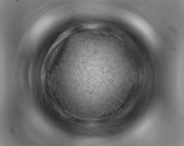 X0000113881052200910081743