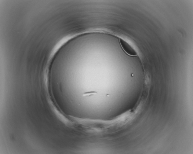 X0000113881054200910081743