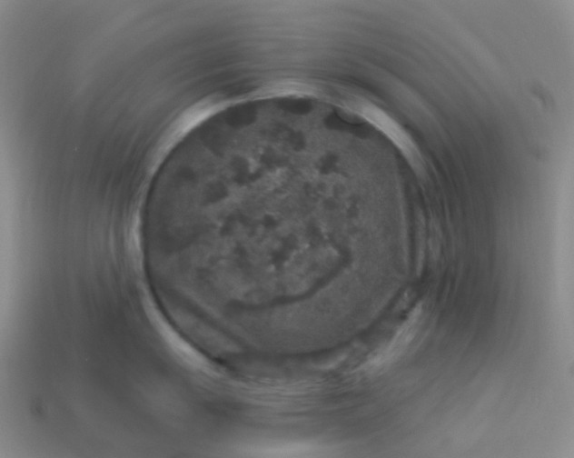 X0000113881055200910081743