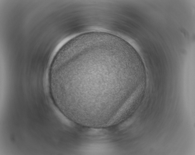 X0000113881056200910081743