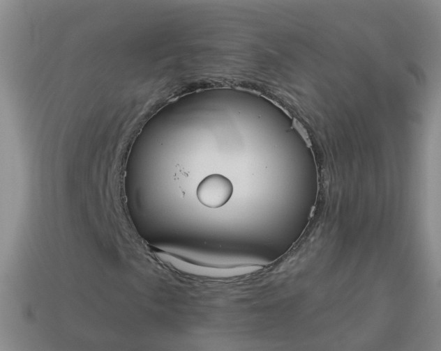 X0000113881057200910081742