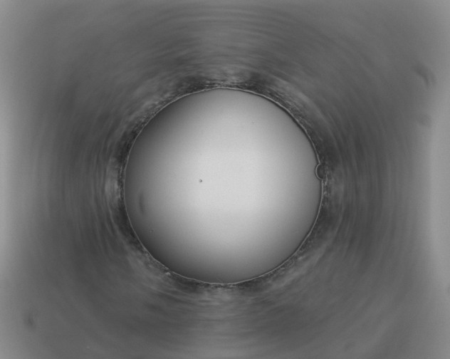 X0000113881058200910081742