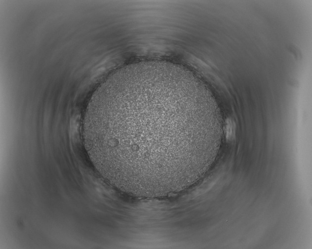 X0000113881059200910081742