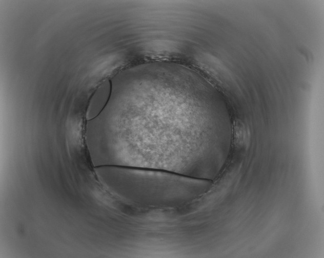 X0000113881060200910081742