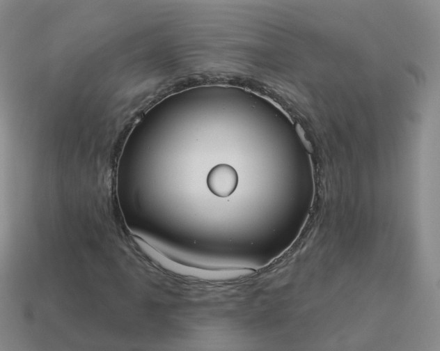 X0000113881061200910081742