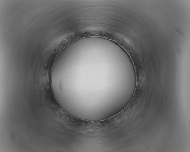 X0000113881062200910081742