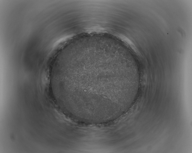 X0000113881063200910081742