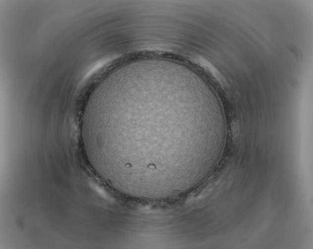 X0000113881064200910081742