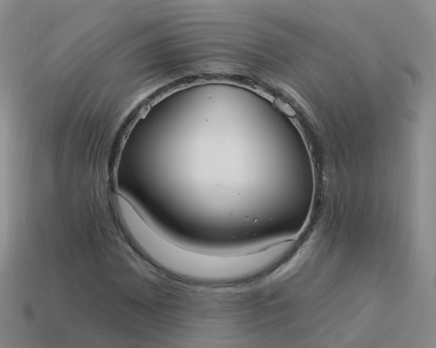 X0000113881065200910081742