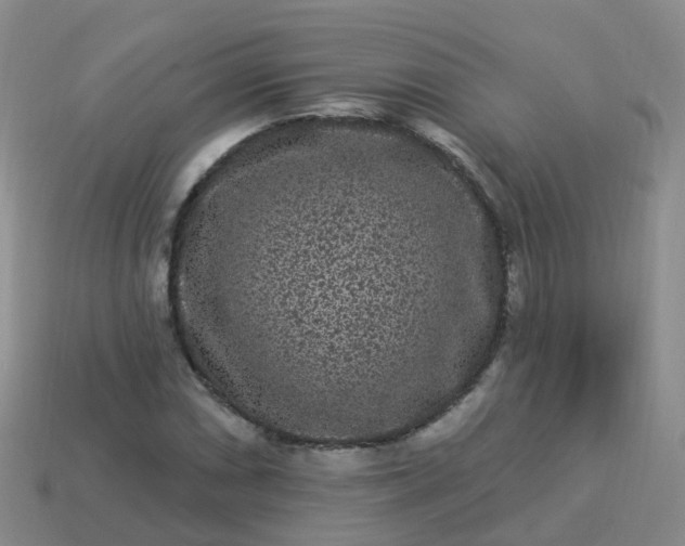 X0000113881066200910081742