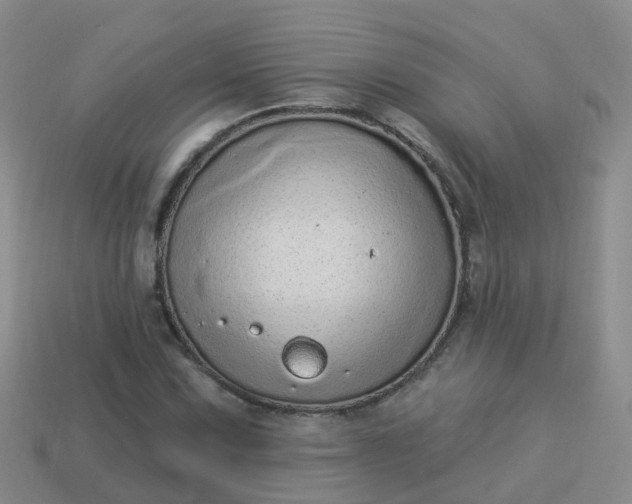 X0000113881067200910081742