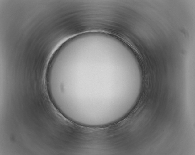 X0000113881068200910081742