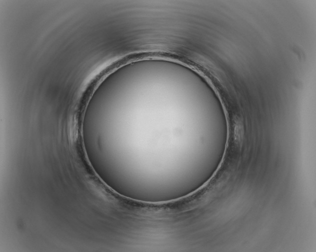 X0000113881069200910081742