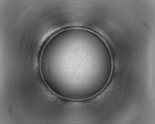 X0000113881070200910081742