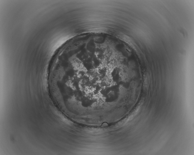 X0000113881071200910081742