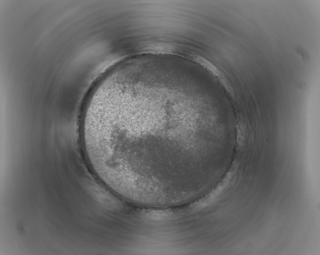 X0000113881074200910081742