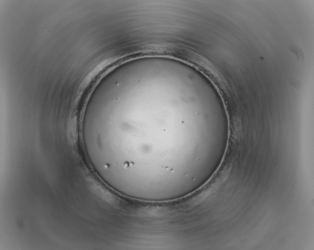 X0000113881075200910081742