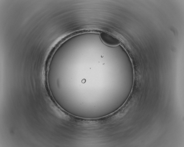 X0000113881076200910081742