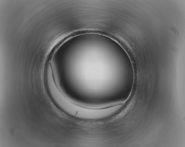 X0000113881077200910081742