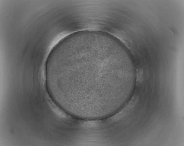 X0000113881078200910081742