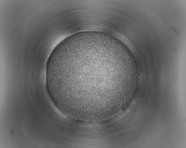 X0000113881079200910081742