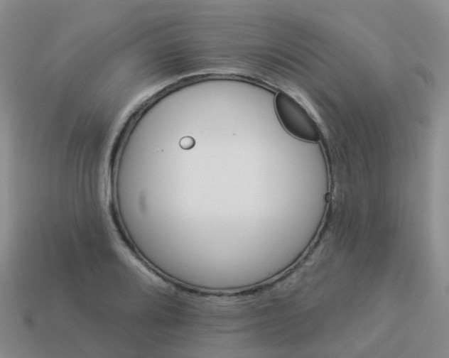 X0000113881080200910081742