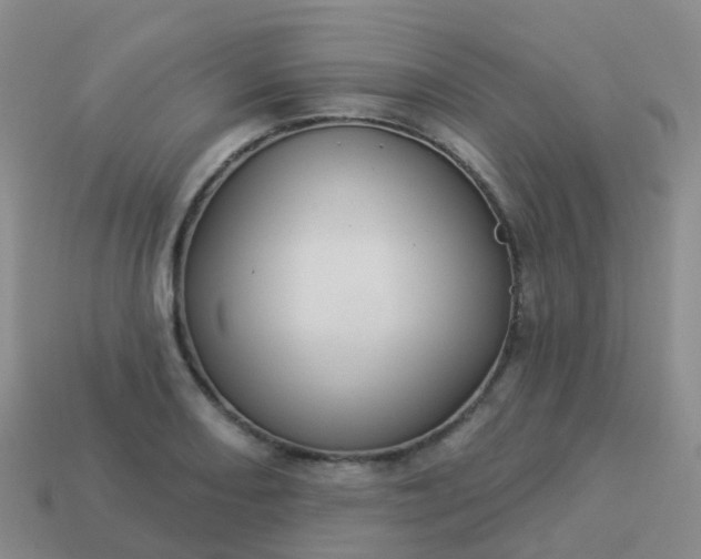 X0000113881082200910081742