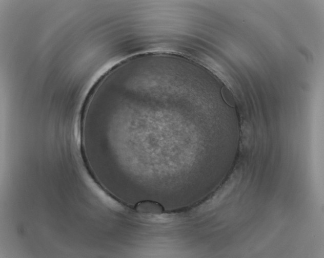 X0000113881084200910081742