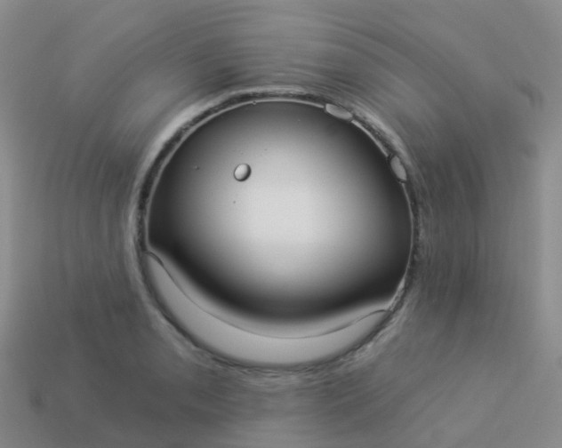 X0000113881085200910081742