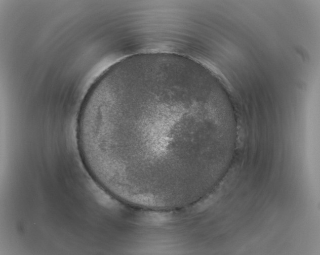 X0000113881086200910081742