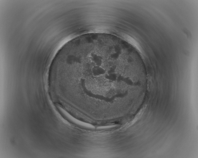 X0000113881087200910081742