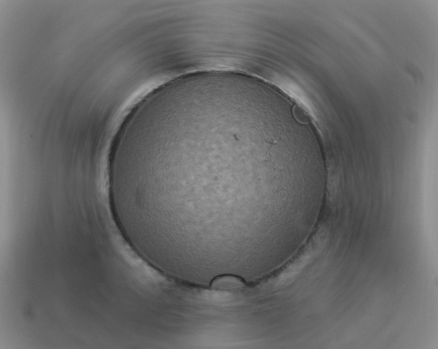 X0000113881088200910081742