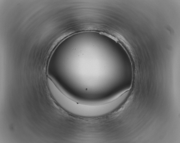 X0000113881089200910081742