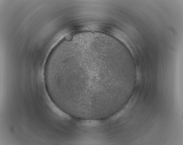 X0000113881090200910081742